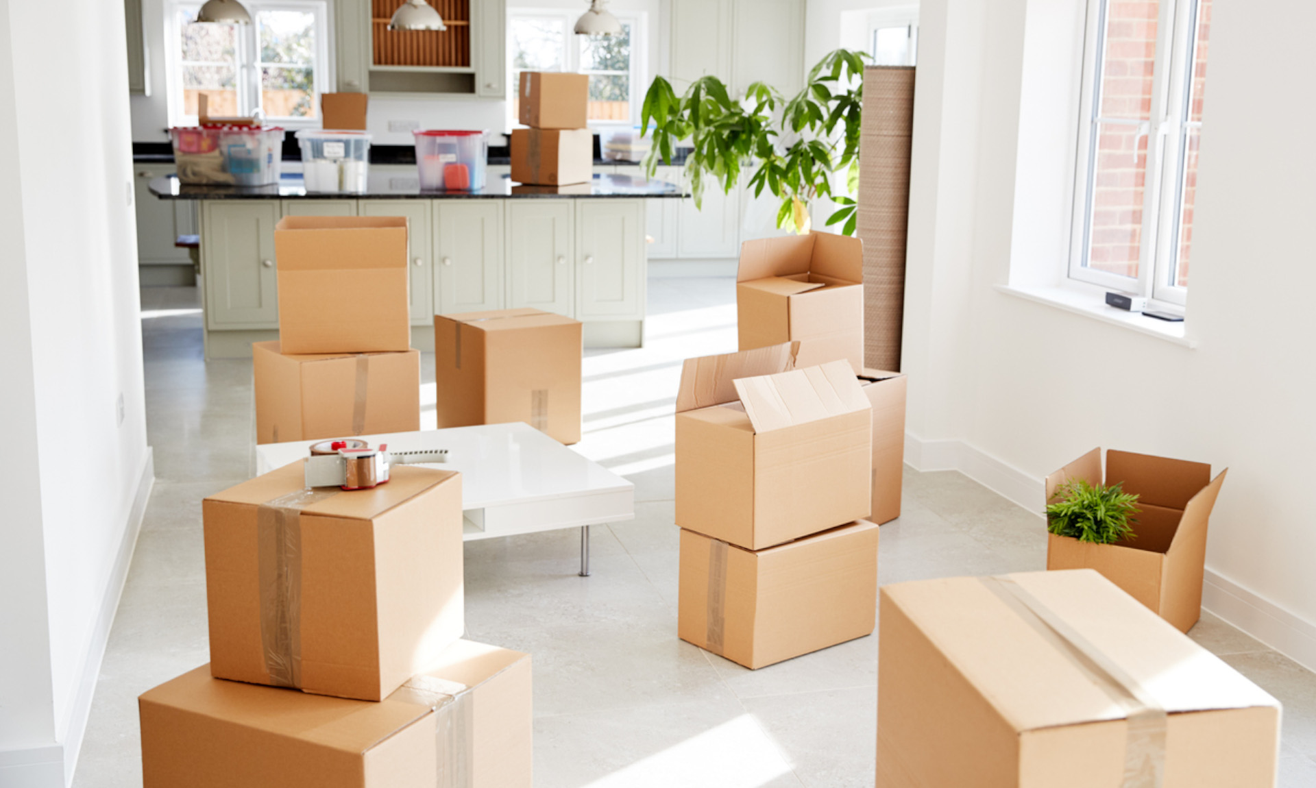 Household<span><br></span><span class="bg-primary">Shifting</span>